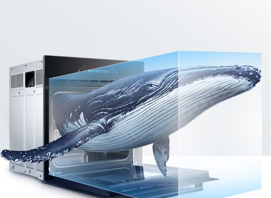 1537955761239112Xsv5.jpg 9516e37bc6584135fa38e7bea52efe99.jpg