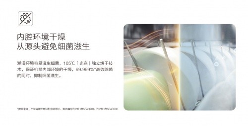 16389551507943817X8J.jpeg 3.jpeg